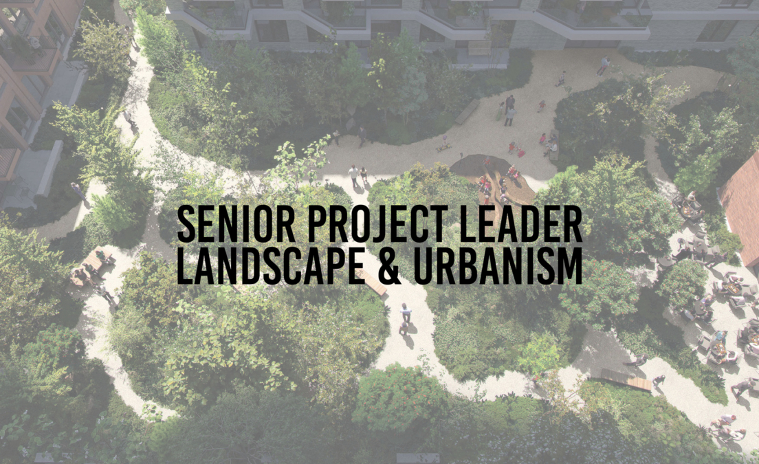 Senior Project Leader