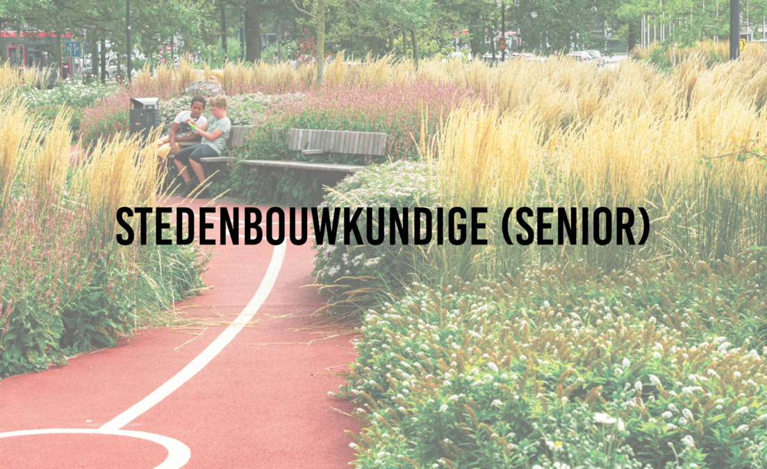 Senior Stedenbouwkundige