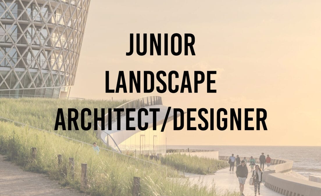 Junior Landscape designer