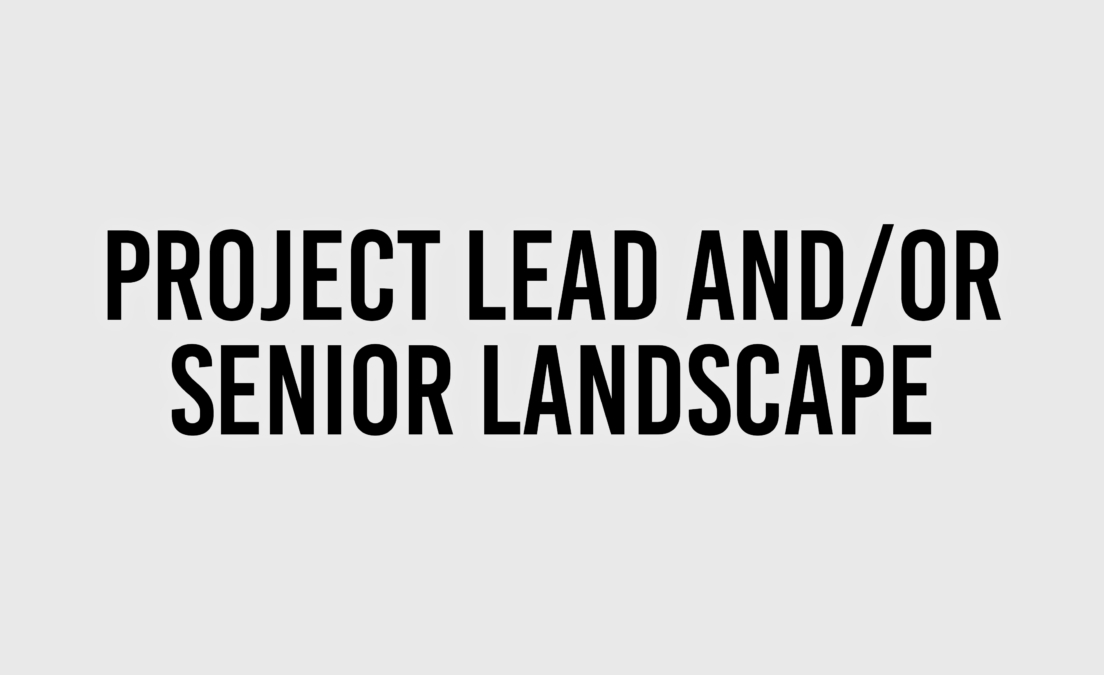 Project lead and:or senior landscape