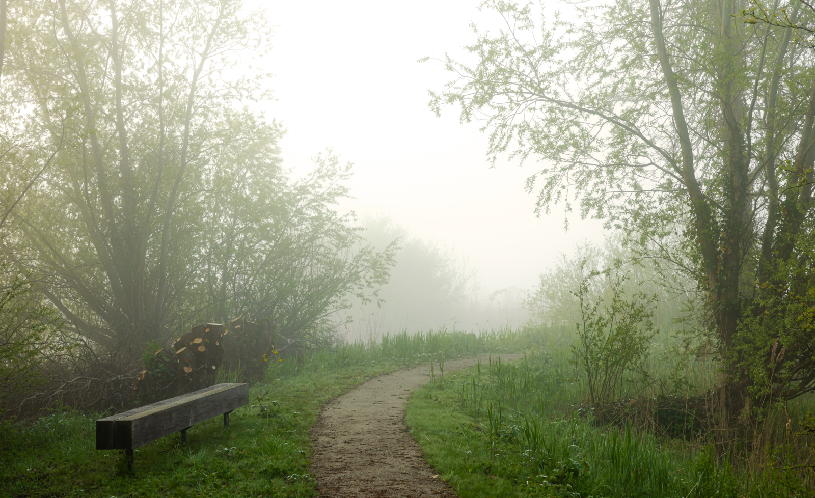 svd Delva NH1816 Oudkarspel 20250423 024