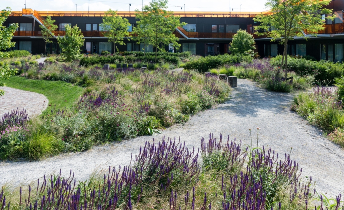 DELVA Landscape Architects 07 2015 Heel Europa VMX architecten tuinarchitect purmerend weidevenne zorg tuin binnentuin mindervalide kinderen terras 24 1200x733@2x