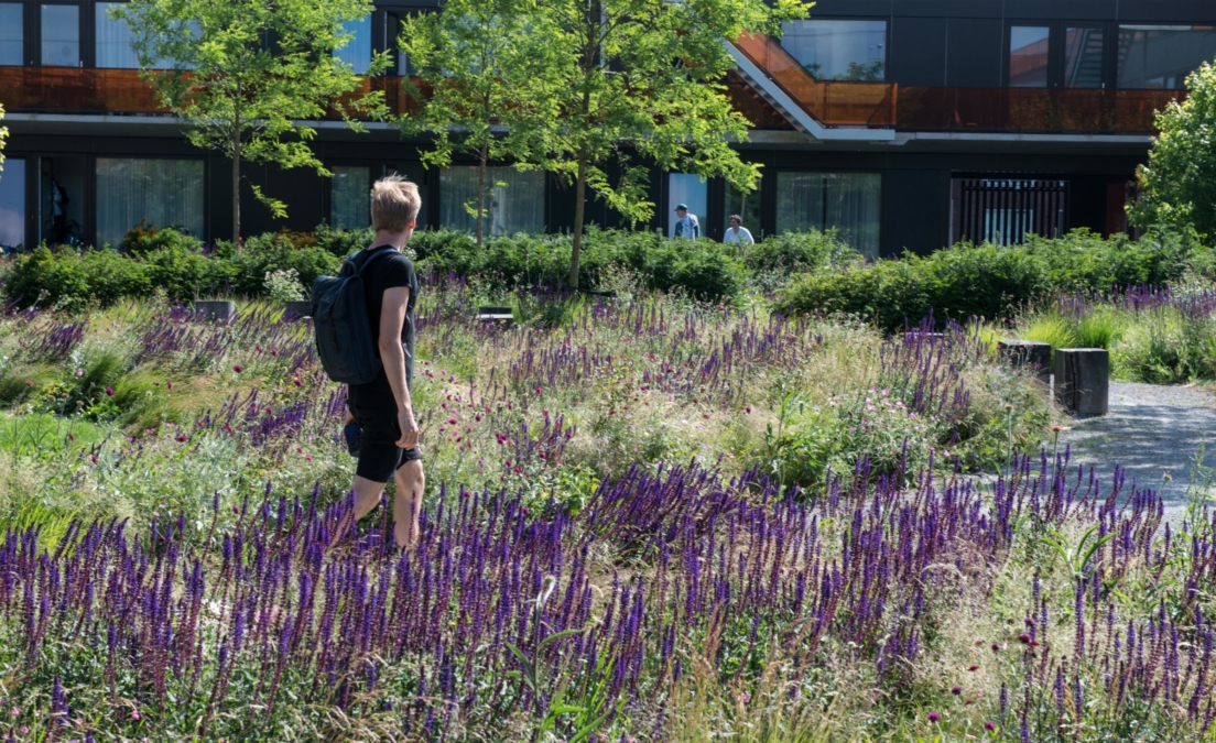 DELVA Landscape Architects 07 2015 Heel Europa VMX architecten tuinarchitect purmerend weidevenne zorg tuin binnentuin mindervalide kinderen terras 25 1200x733@2x